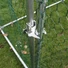 Kép 7/8 - Kültéri madárház 2x3x2m (LxWxH) - Volier