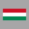 Magyar vállalkozás